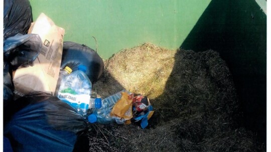 Na bakier z segregacją. Miasto zrobiło kontrolę Na bakier z segregacją. Miasto zrobiło kontrolę