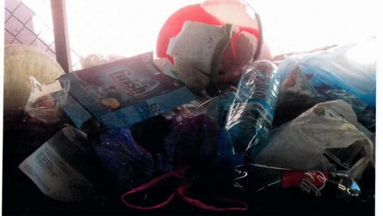 Na bakier z segregacją. Miasto zrobiło kontrolę Na bakier z segregacją. Miasto zrobiło kontrolę