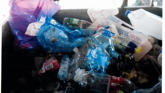 Na bakier z segregacją. Miasto zrobiło kontrolę Na bakier z segregacją. Miasto zrobiło kontrolę