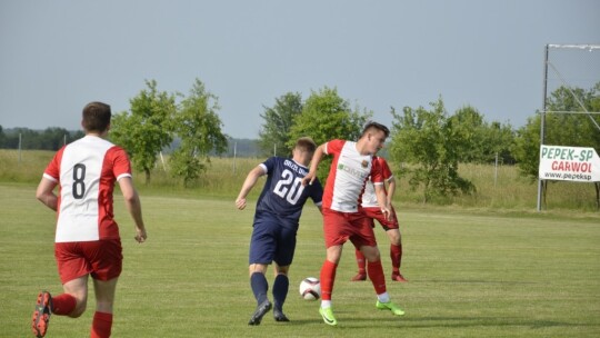 Wilga wygrywa derby i zostaje w IV lidze!