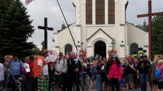 Kierunek: Jasna Góra! Pielgrzymka Podlaska dzień po dniu [wideo]