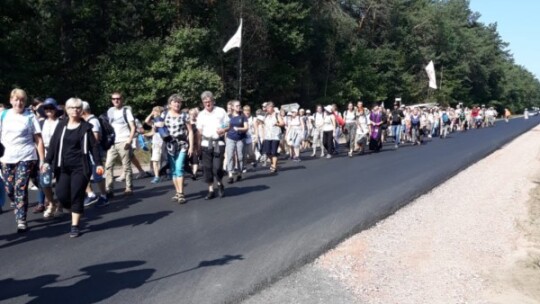 Kierunek: Jasna Góra! Pielgrzymka Podlaska dzień po dniu [wideo]