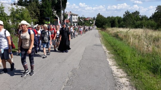 Kierunek: Jasna Góra! Pielgrzymka Podlaska dzień po dniu [wideo]