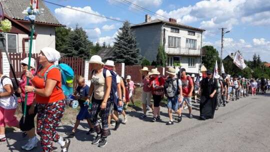 Kierunek: Jasna Góra! Pielgrzymka Podlaska dzień po dniu [wideo]