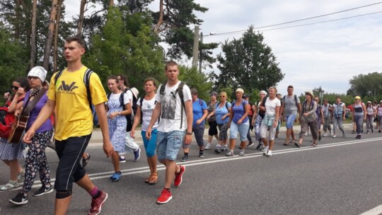 Kierunek: Jasna Góra! Pielgrzymka Podlaska dzień po dniu [wideo]