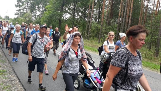 Kierunek: Jasna Góra! Pielgrzymka Podlaska dzień po dniu [wideo]