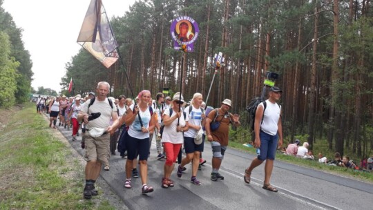 Kierunek: Jasna Góra! Pielgrzymka Podlaska dzień po dniu [wideo]