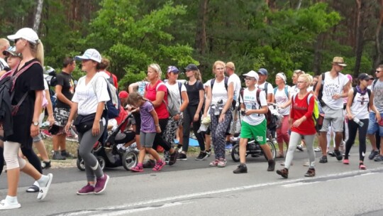 Kierunek: Jasna Góra! Pielgrzymka Podlaska dzień po dniu [wideo]