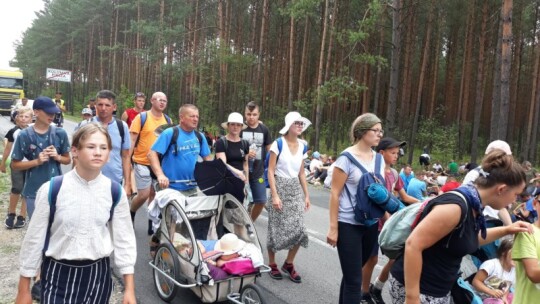 Kierunek: Jasna Góra! Pielgrzymka Podlaska dzień po dniu [wideo]