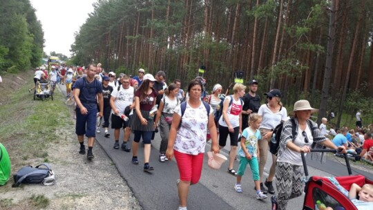 Kierunek: Jasna Góra! Pielgrzymka Podlaska dzień po dniu [wideo]