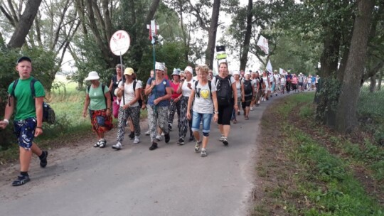 Kierunek: Jasna Góra! Pielgrzymka Podlaska dzień po dniu [wideo]