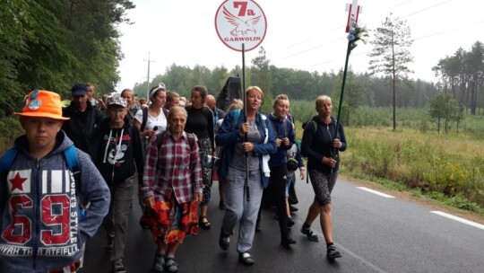 Kierunek: Jasna Góra! Pielgrzymka Podlaska dzień po dniu [wideo]