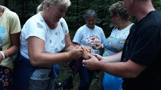 Kierunek: Jasna Góra! Pielgrzymka Podlaska dzień po dniu [wideo]