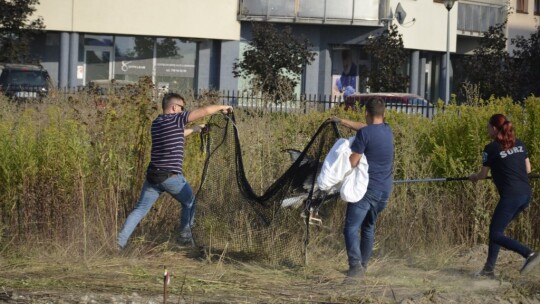 Bocian w mieście. Kto mu pomoże? [wideo, aktualizacja]