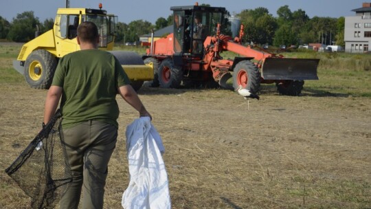 Bocian w mieście. Kto mu pomoże? [wideo, aktualizacja]