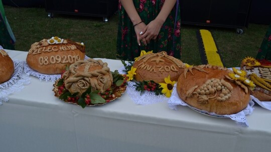 Cały powiat dziękował za plony w Miętnem Cały powiat dziękował za plony w Miętnem