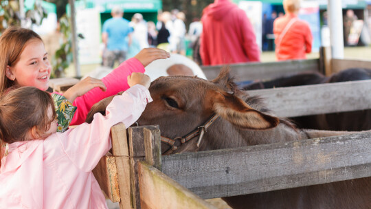 Cały powiat dziękował za plony w Miętnem Cały powiat dziękował za plony w Miętnem