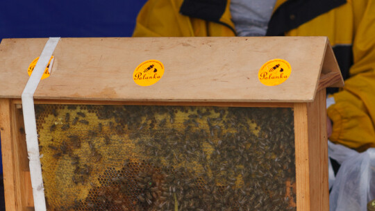 Cały powiat dziękował za plony w Miętnem Cały powiat dziękował za plony w Miętnem