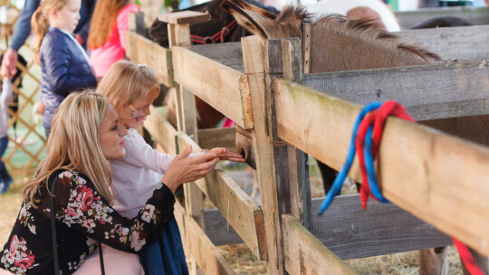 Cały powiat dziękował za plony w Miętnem Cały powiat dziękował za plony w Miętnem