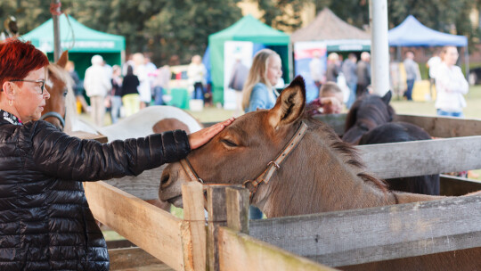 Cały powiat dziękował za plony w Miętnem Cały powiat dziękował za plony w Miętnem