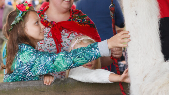 Cały powiat dziękował za plony w Miętnem Cały powiat dziękował za plony w Miętnem