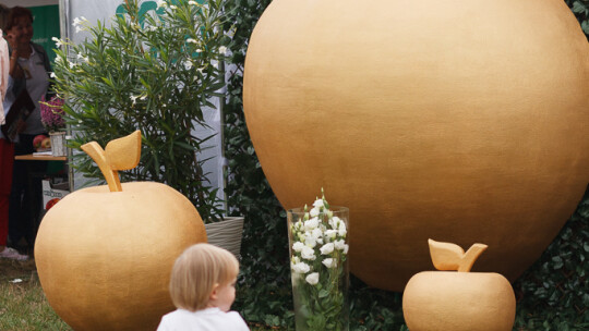 Cały powiat dziękował za plony w Miętnem Cały powiat dziękował za plony w Miętnem