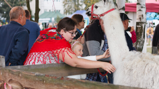 Cały powiat dziękował za plony w Miętnem Cały powiat dziękował za plony w Miętnem