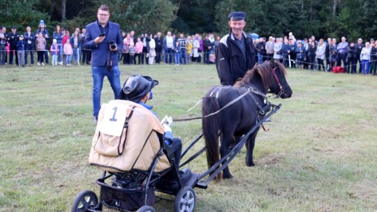 Święto koni w Górkach