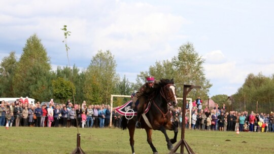 Święto koni w Górkach