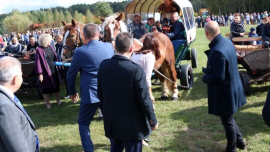 Święto koni w Górkach