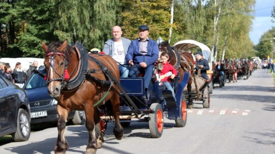 Święto koni w Górkach