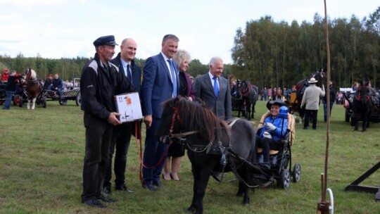 Święto koni w Górkach