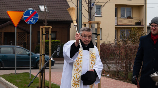 W Pilawie hybrydowe Irizary debiutują nad Wisłą 