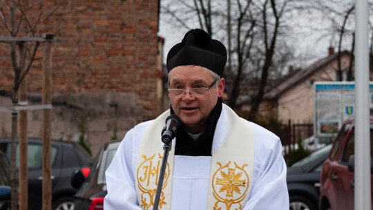 W Pilawie hybrydowe Irizary debiutują nad Wisłą 