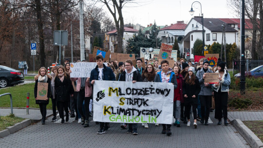 Wyszli na ulice w trosce o naszą planetę [wideo]