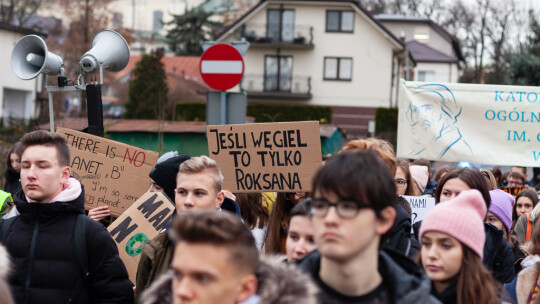 Wyszli na ulice w trosce o naszą planetę [wideo]