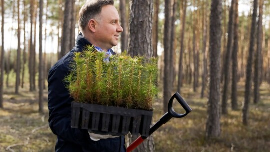 Prezydent sadził drzewa pod Maciejowicami