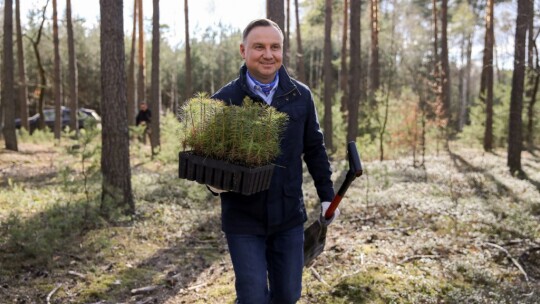 Prezydent sadził drzewa pod Maciejowicami