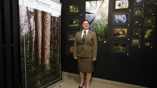 Galeria Kotłownia zaprasza na ?Leśne ścieżki?