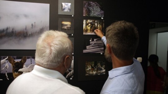 Galeria Kotłownia zaprasza na ?Leśne ścieżki?