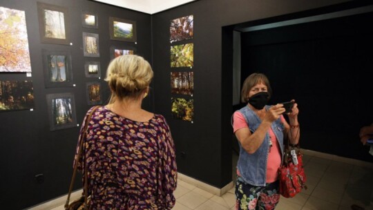 Galeria Kotłownia zaprasza na ?Leśne ścieżki?