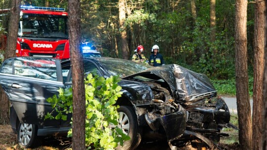 Zjechał z drogi i ściął drzewa