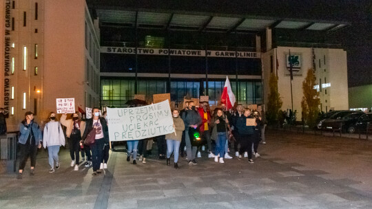 ?Spacer? odsłona druga. Kobiety i nie tylko w obronie wolności [wideo]