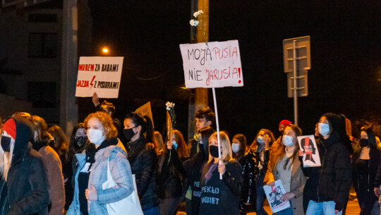 ?Spacer? odsłona druga. Kobiety i nie tylko w obronie wolności [wideo]