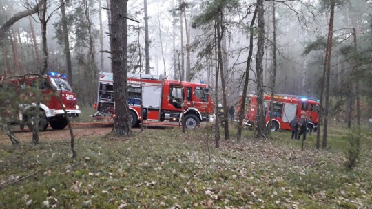 Pożar drewnianego domku