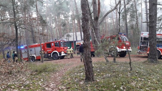 Pożar drewnianego domku