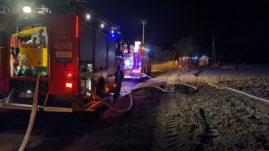 Pożar w Kobylnicy. 32-letni Piotr stracił dach nad głową