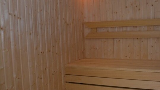 Jacuzzi i sauna w Miętnem