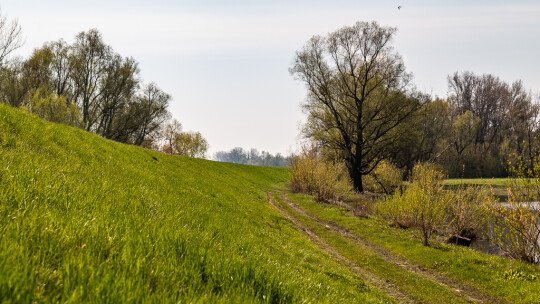 Gmina Maciejowice zyska 4 km wałów