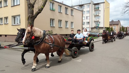 Spacer śladami kultury i tradycji. Senatorska 2021